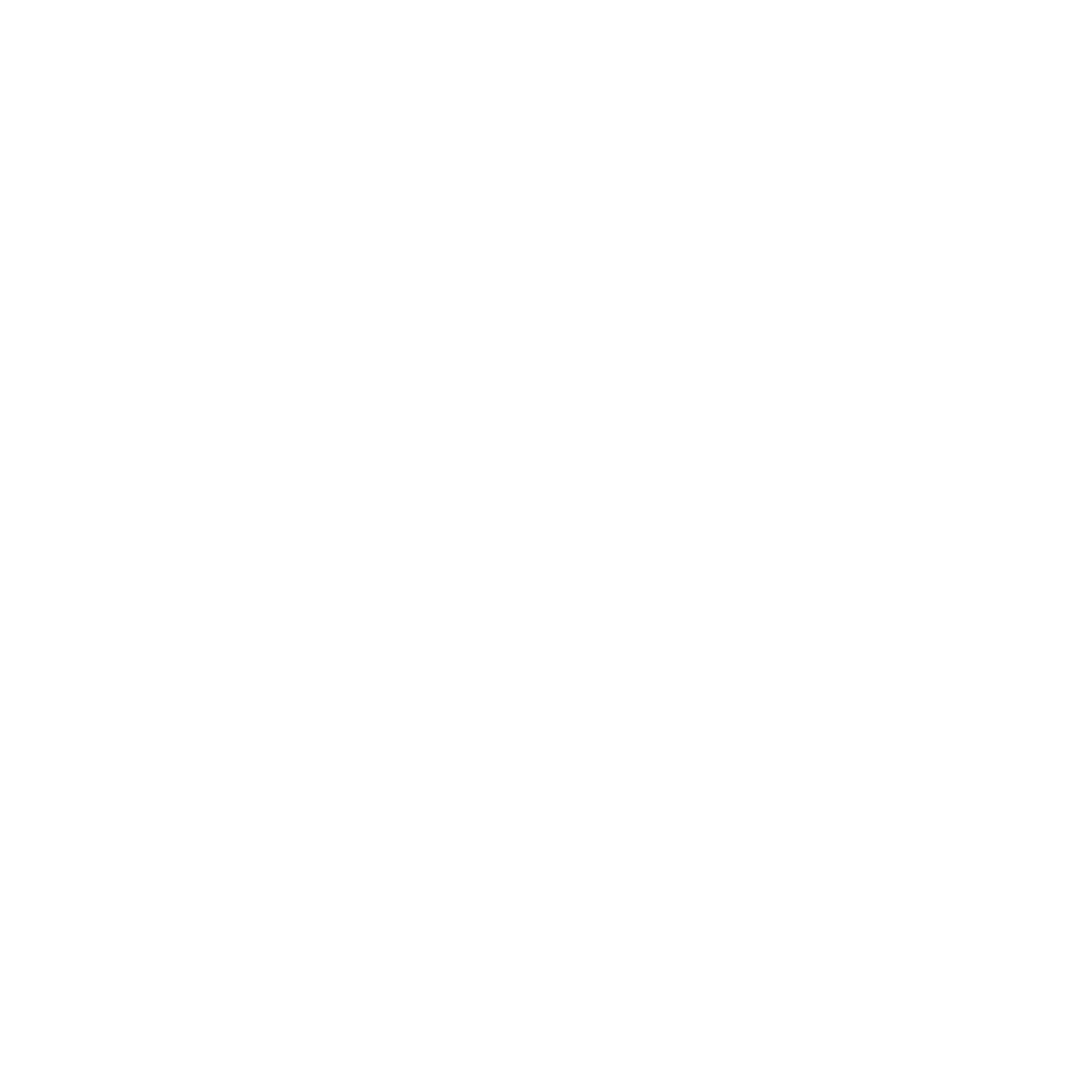The Gryffindor crest: a lion beneath a crown, ringed by the words Courage, Determination, Bravery