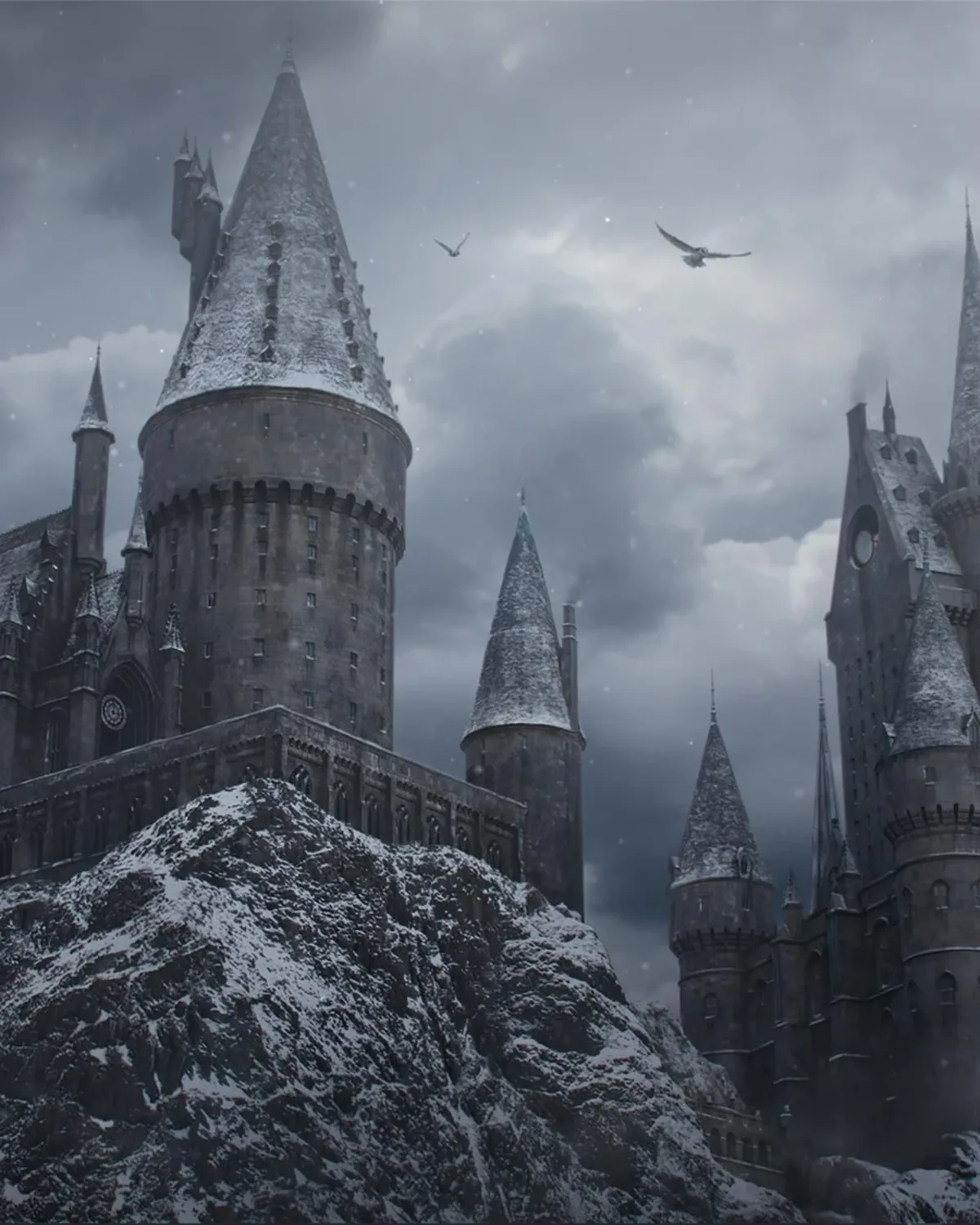 The castle under snow beneath a stormy sky, owls overhead